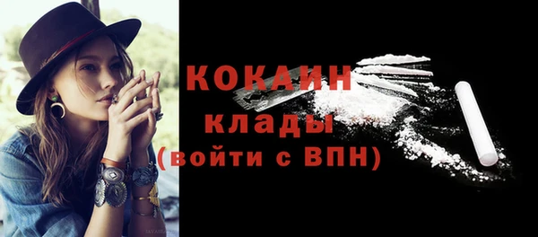 прущие грибы Нягань