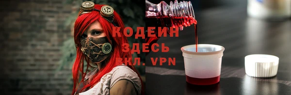 прущие грибы Нягань