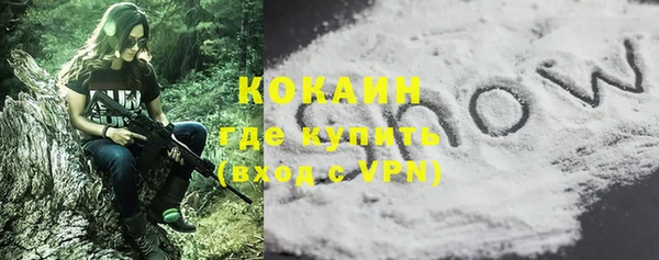прущие грибы Нягань