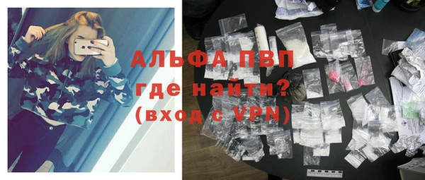 прущие грибы Нягань