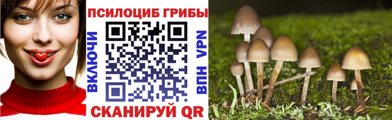 Галлюциногенные грибы Psilocybine cubensis  Омск 