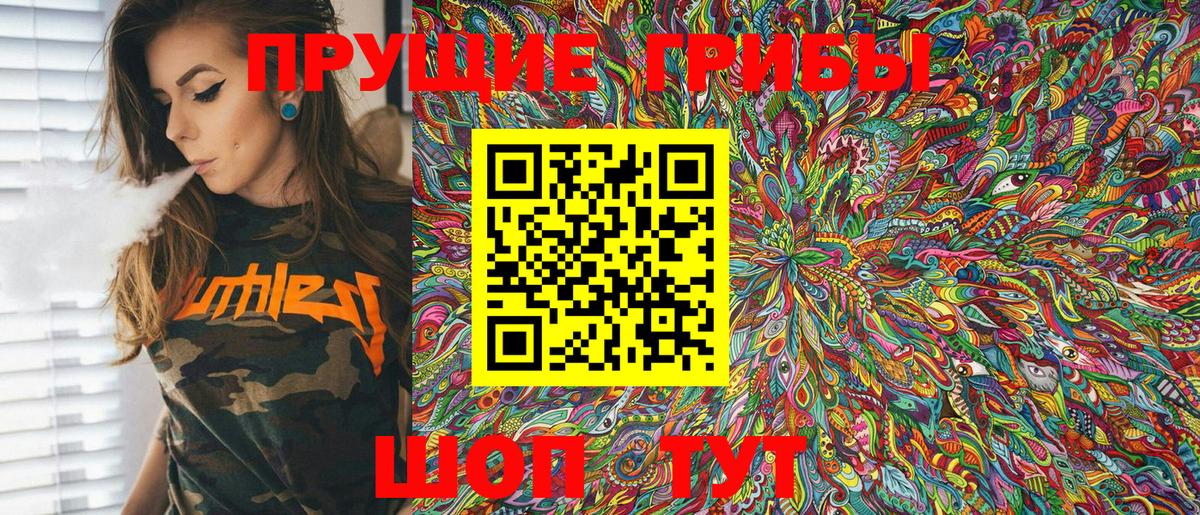 Омск  Псилоцибиновые грибы Psilocybe  Вход с VPN  Галлюциногенные грибы Psilocybe 